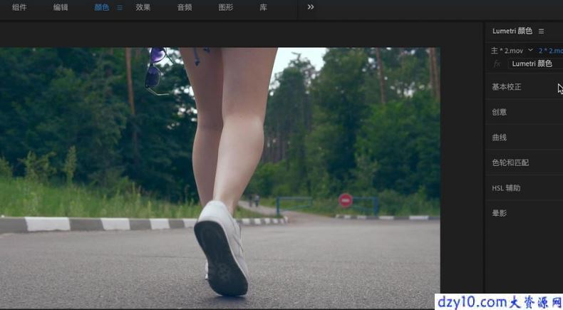 Premiere教程_PR预设如何使用安装及导入Luts预设详细教程