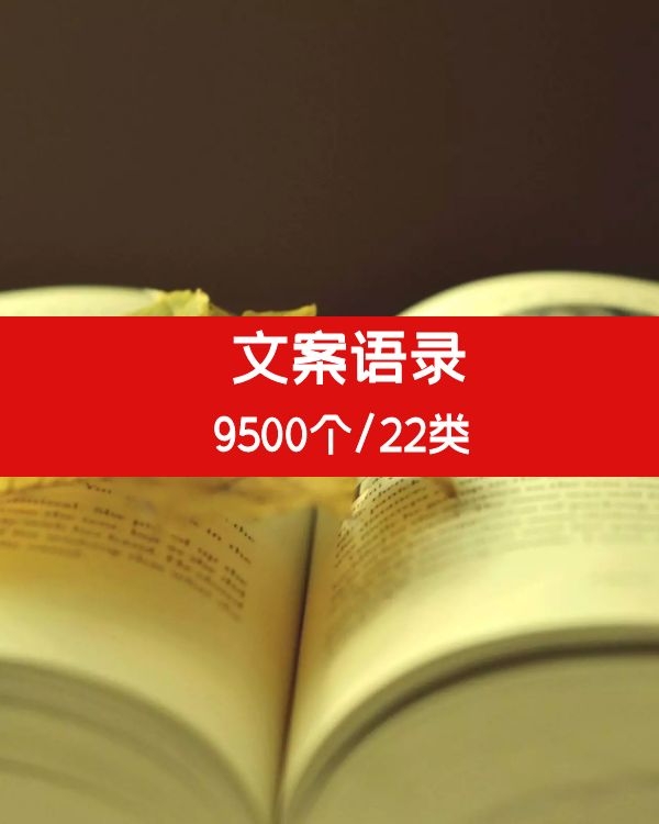 抖音快手自媒体专用的9500个文案语录