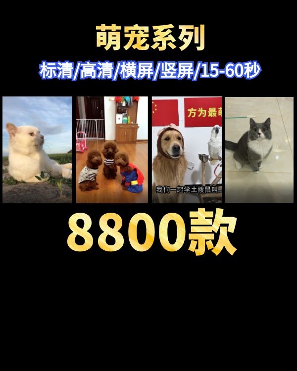 萌宠物阿猫和阿狗短视频素材下载，8824款