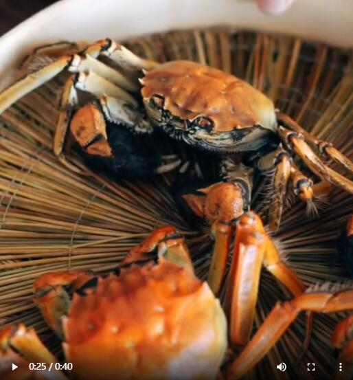 精选59个美食视频自媒体运营素材下载–第9波