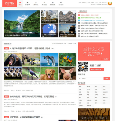 织梦模仿阿里白秀织梦模板织梦博客文章信息源码PHP网站模板的新版本