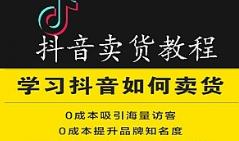 2020抖音电商运营淘客视频教程新手入门抖商营销教程卖货引流技巧_电商运营教程