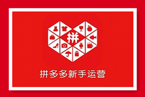 拼多多开店自学视频教程