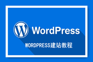 wordpress建站教程视频合集49套