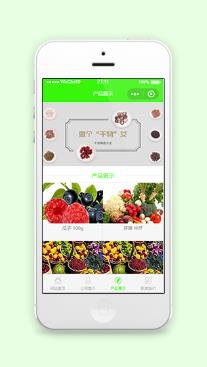 精选水果店铺网上微信商城小程序模板
