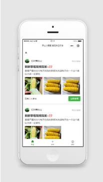 开心小麻团周边商品选购微信购物小程序模板