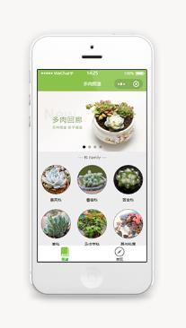 植物图片观赏多肉图鉴微信端小程序模板