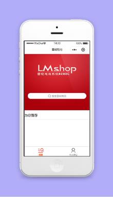 简单式雷铭购物商品搜索程序源码
