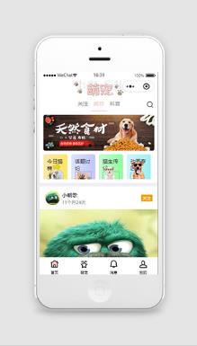 宠物饲料科普小程序模板下载