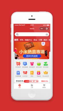 红色京东商城小程序含源码模板下载