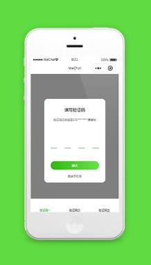 微信小程序验证码框模板源码免费下载