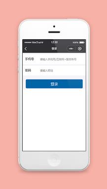 简约版微信商城程序登录页源码