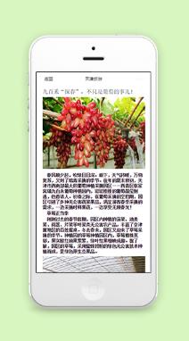 天津旅游图文排版文章页程序源码下载