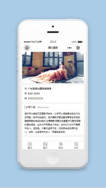 微信婚纱摄影小程序关于我们页面模板下载