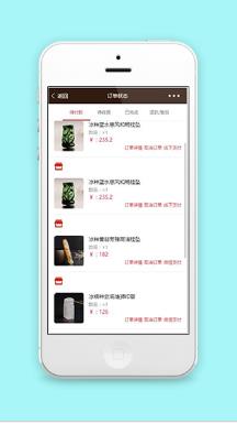 简约图文排版订单状态查询页程序源码