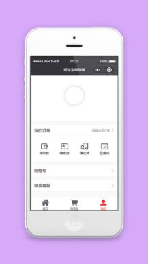 精简风爱宝宝微商城个人中心程序源码