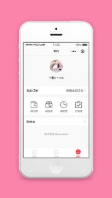 线条图形订单查询微商城个人中心程序源码
