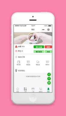 精致排版订单余额查询微商城个人中心源码