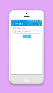 蓝色简约IP地址快速查询功能程序源码下载