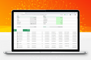 【kkFileView在线预览 v3.3.0】使用spring boot打造的文件文档在线预览项目解决方案