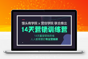 馒头商学院：14天营销课（完结）