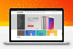 【OpenWBS 企业商城系统 v5.6.2】asp商城网站源码+分销+手机端+PC端+微信