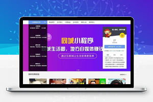 【发货100虚拟商品自动发货系统 v1.1】文章付费阅读系统+自动发货+缺货提醒+支持APP及各端小程序