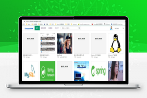 【探果tamguo v1.0.3】基于java开发的在线题库系统+在线访问+后台运营+会员中心+书籍中心