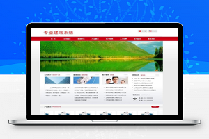 【网展中英企业网站系统v11.2】在线客服中心+增加售前及售后旺旺客服功能+提供公司Google地图设置接口