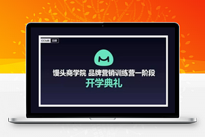 馒头商学院：品牌课（完结）