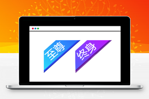 RiPro文章左上角标签美化