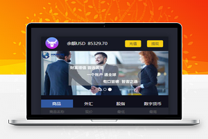 【美金点位盘】金融外汇交易所带风控功能[已测试]