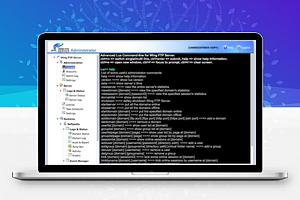 【Wing FTP Server Mac版 v6.4.7】跨平台FTP服务器端+适合企业内部文件传输+支持多国语言