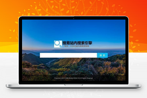 【搜易站内搜索聚合页系统 v6.1】永久免费站内搜索引擎系统+无需编写代码即可快速搭建支持高并发