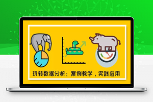 从零开始进阶数据分析师