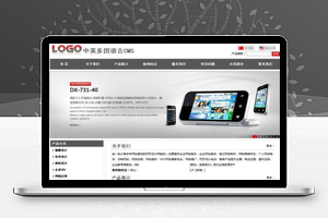 【网新中英多国语言CMSv11.0】个人或企业网站智能化建站程序+后台全智能化管理功能