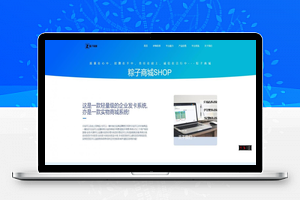 【粽子实物商城源码】商城官网展示+代刷+商城+秒赞+代挂+互赞+送防红域名