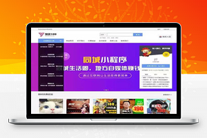 【发货100虚拟商品自动发货系统 v1.1build20210122】 文章付费阅读系统+无需人工值守+支持APP及各端小程序