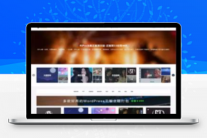 【首发】日主题RiPro v8.6去授权破解版