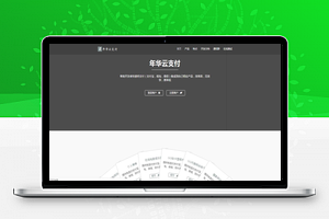 【年华云支付源码】最新修复版+可对接官方支付+易支付+码支付+附彩虹模板网站源码+支持单独设置费率