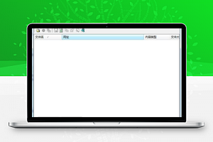【ChromeCacheView v2.22】中文版+自动获取谷歌浏览器上的缓存数据的免费小工具