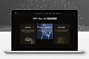 亲测最新upay数字火币支付，USDT支付/数字货币承兑系统/支持ERC20 OMNI/代理商/第三方支付接口