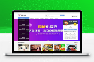 【发货100 v1.1】虚拟商品自动发货系统 +文章付费阅读系统+VIP会员系统+快捷登陆