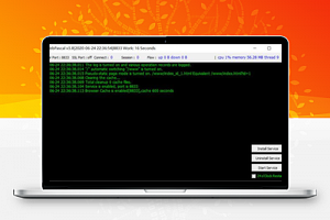 【WebPascal v3.8.7282】兼容主流Web前端框架+web网站开发应用+支持多域名绑定