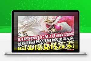 网页游戏白发魔女传网游单机版游戏服务端带GM工具可任意刷道具与VIP