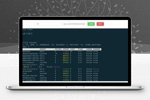 【Cubic v1.3.0】对应用透明无侵入的java应用诊断工具+新增基础信息监控+UI界面重构