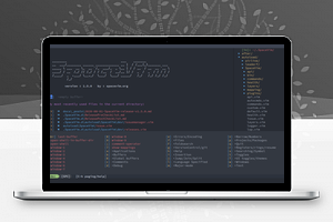 【SpaceVim v1.5.0】以模块的方式组织管理插件以及相关配置+代码自动补全+语法检查+格式化等特性