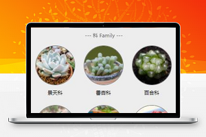 多肉植物图鉴小程序模板