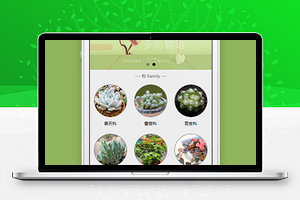 多肉绿植盆栽图鉴微信小程序源码下载