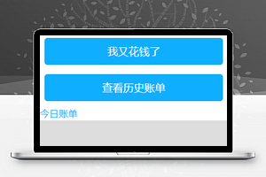 简约蓝色收入支出账单记录程序源码下载
